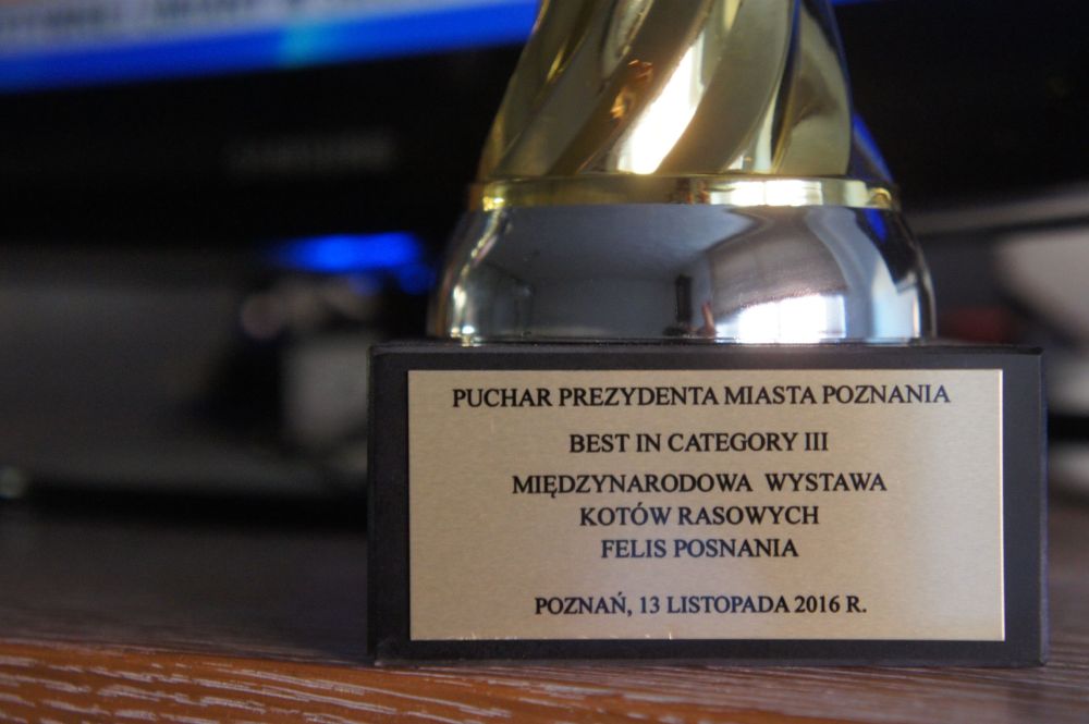 Puchar Prezydenta Miasta Poznania 