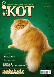 KOT 11 - listopad 2008  magazyn dla miłośników kotów.